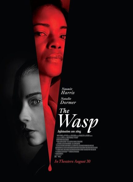 دانلود فیلم زنبور | The Wasp