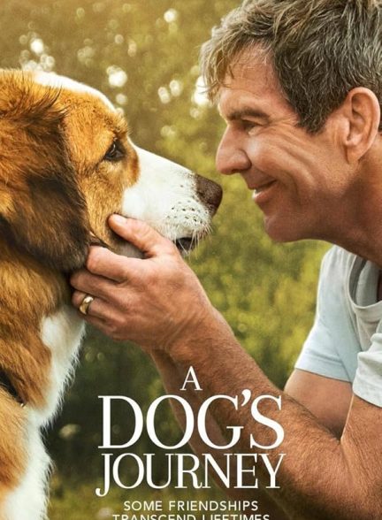 دانلود فیلم سفر یک سگ | A Dog’s Journey