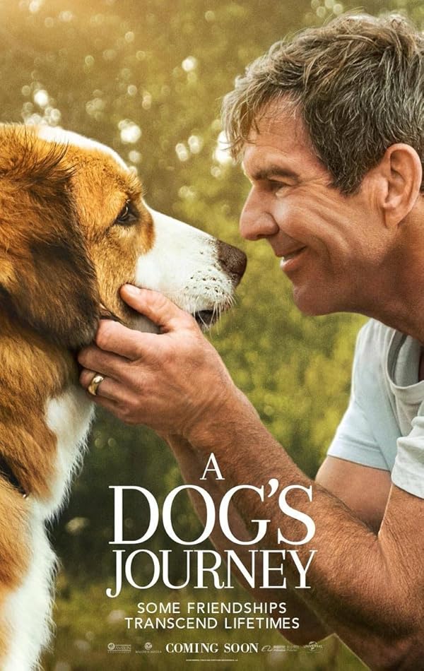 دانلود فیلم سفر یک سگ | A Dog’s Journey